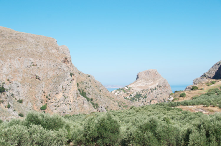 Olivenlunde