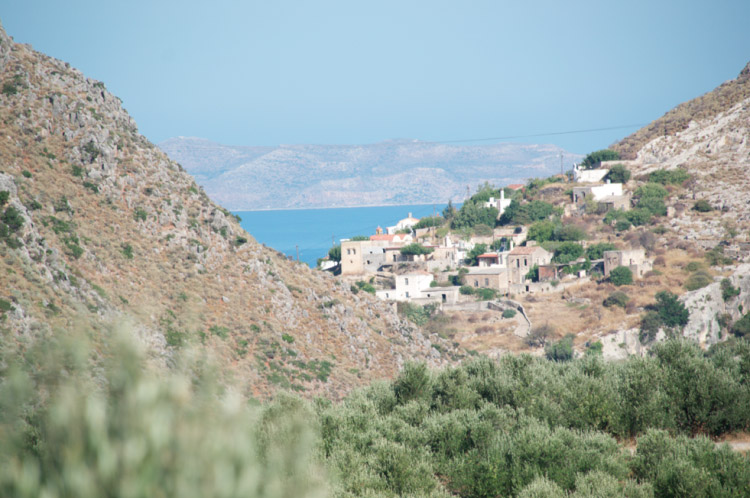 Olivenlunde