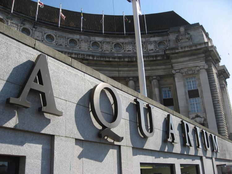 London Aquarium