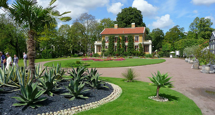 erotisk massage Jylland botanisk have århus adresse erotisk massage Jylland botanisk have århus adresse