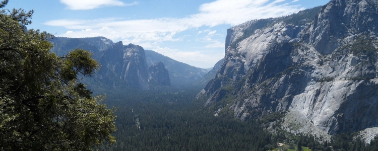 Natur tæt på San Fransisco