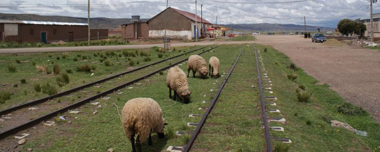 Tre tips til rejsen i Bolivia
